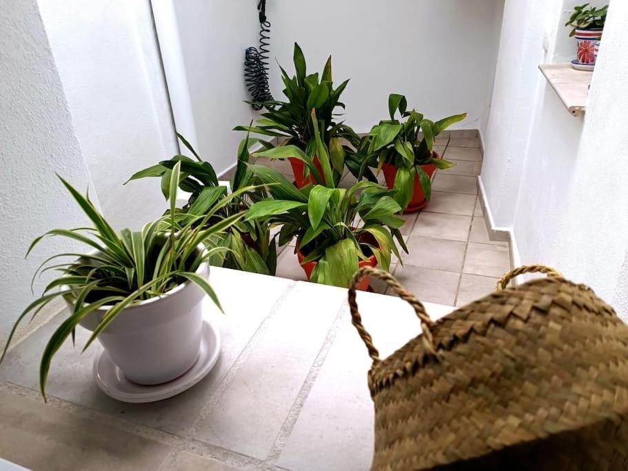 Apartamento Alberzana - Barrio Albaicin - Granada Esterno foto